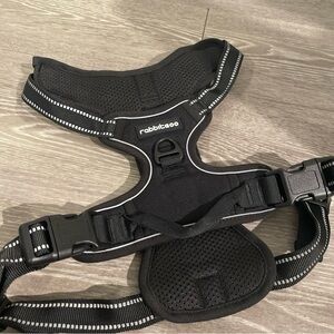 Black Dog Harness